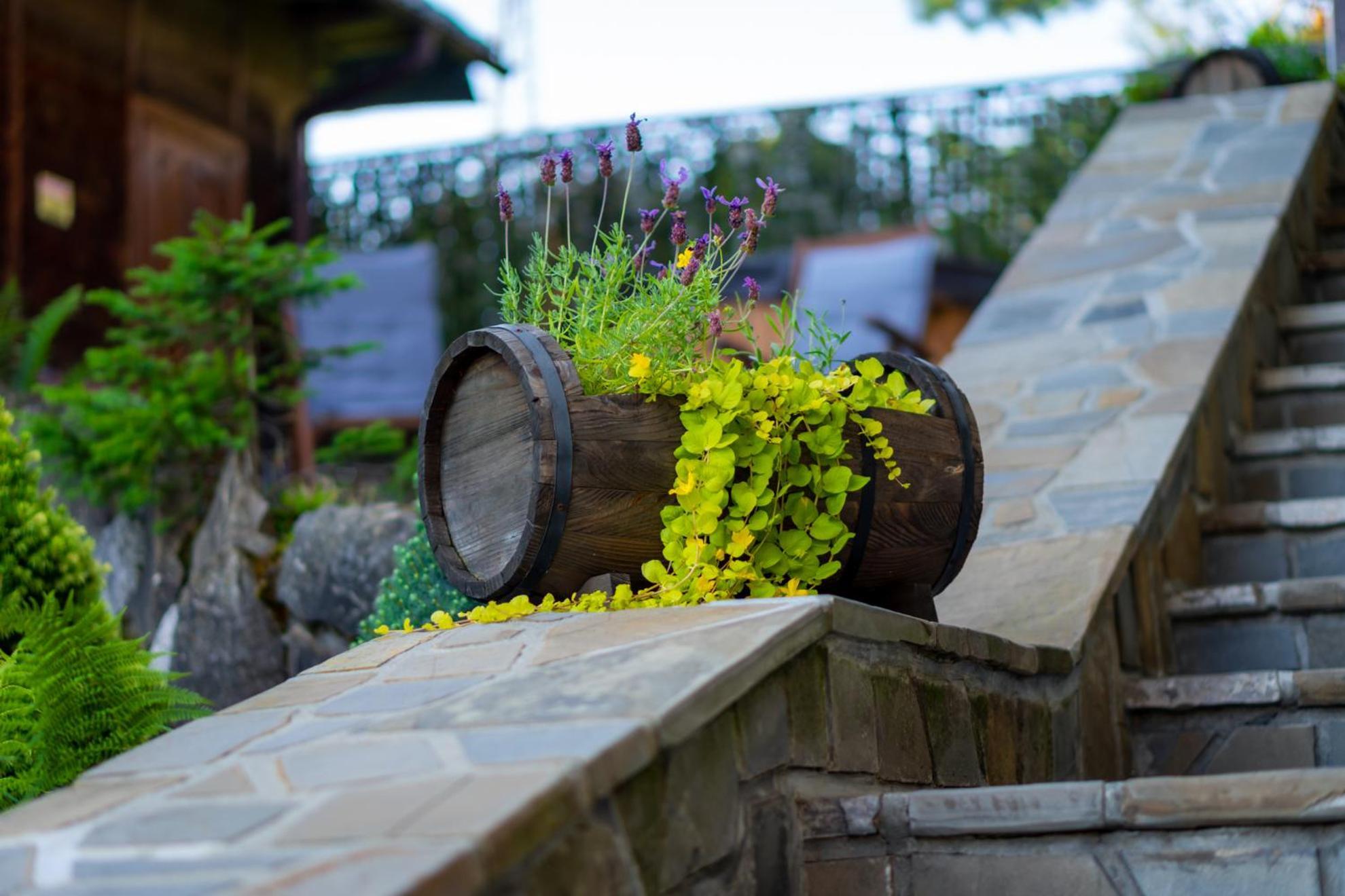 Chalet Bylinkowa Jacuzzi & Sauna Poronin